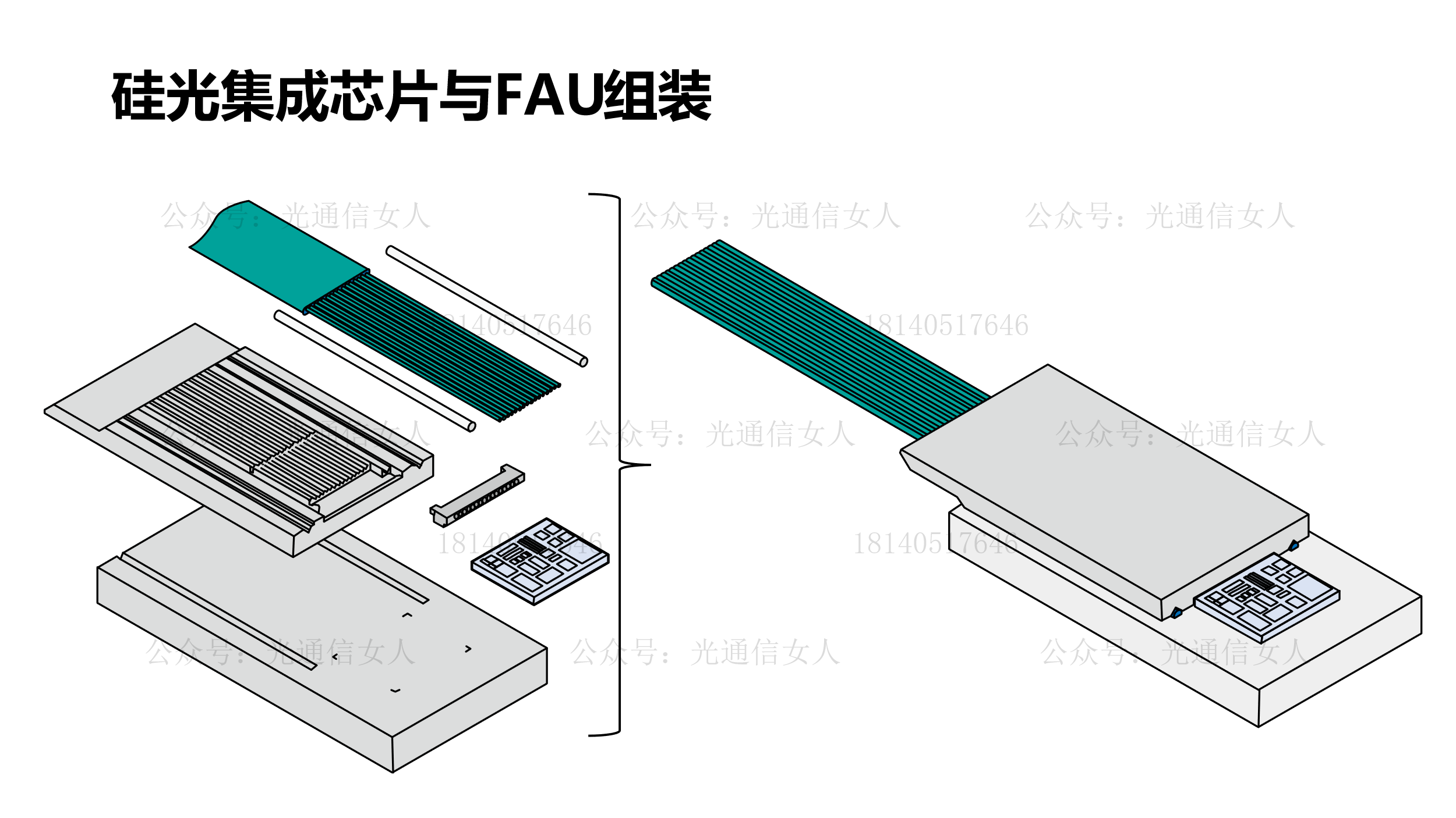Y11T214 上诠：用于硅光芯片封装的FAU案例