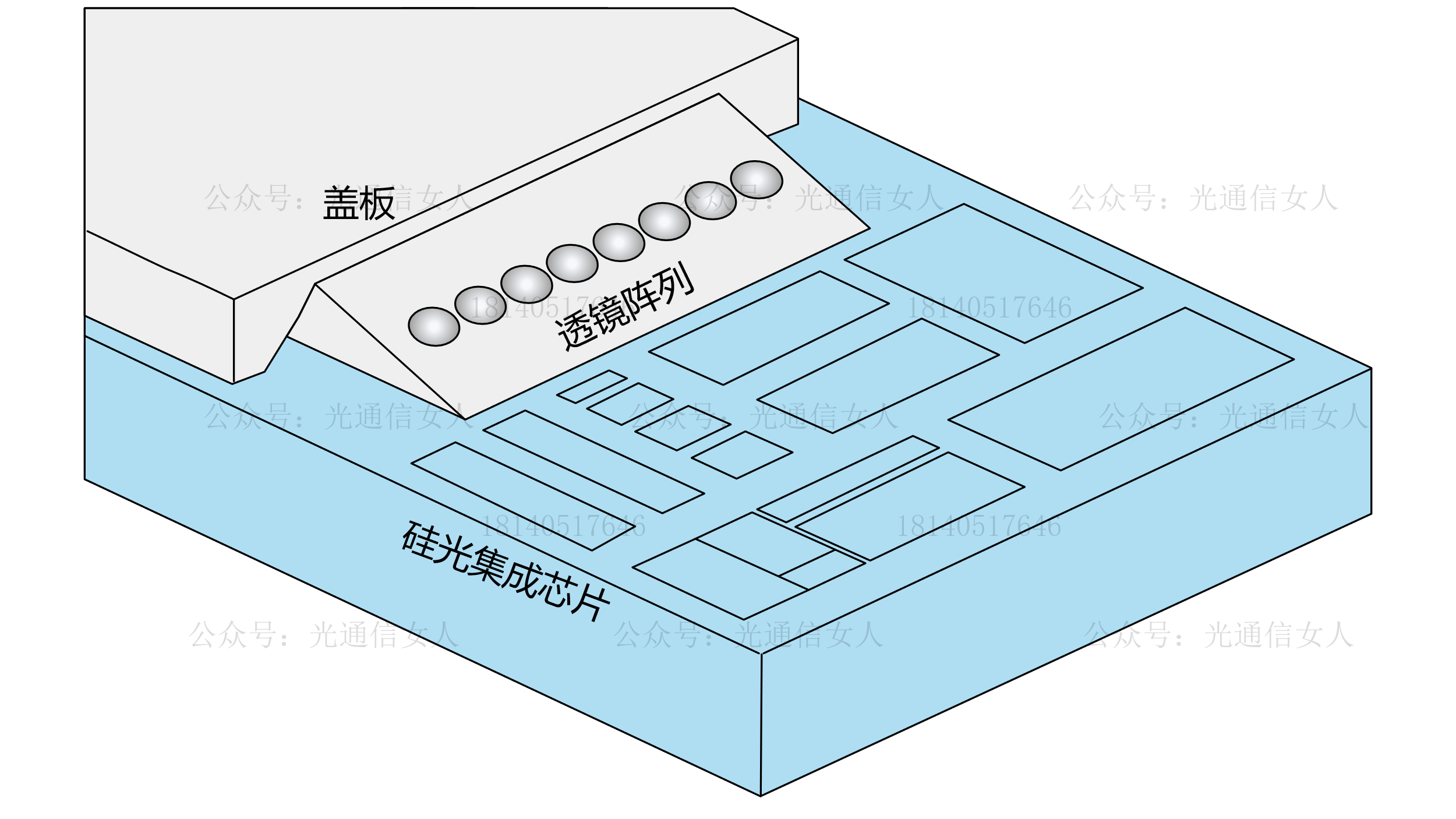 Y11T215 上诠FOCI：硅光芯片垂直耦合的FAU另两个案例