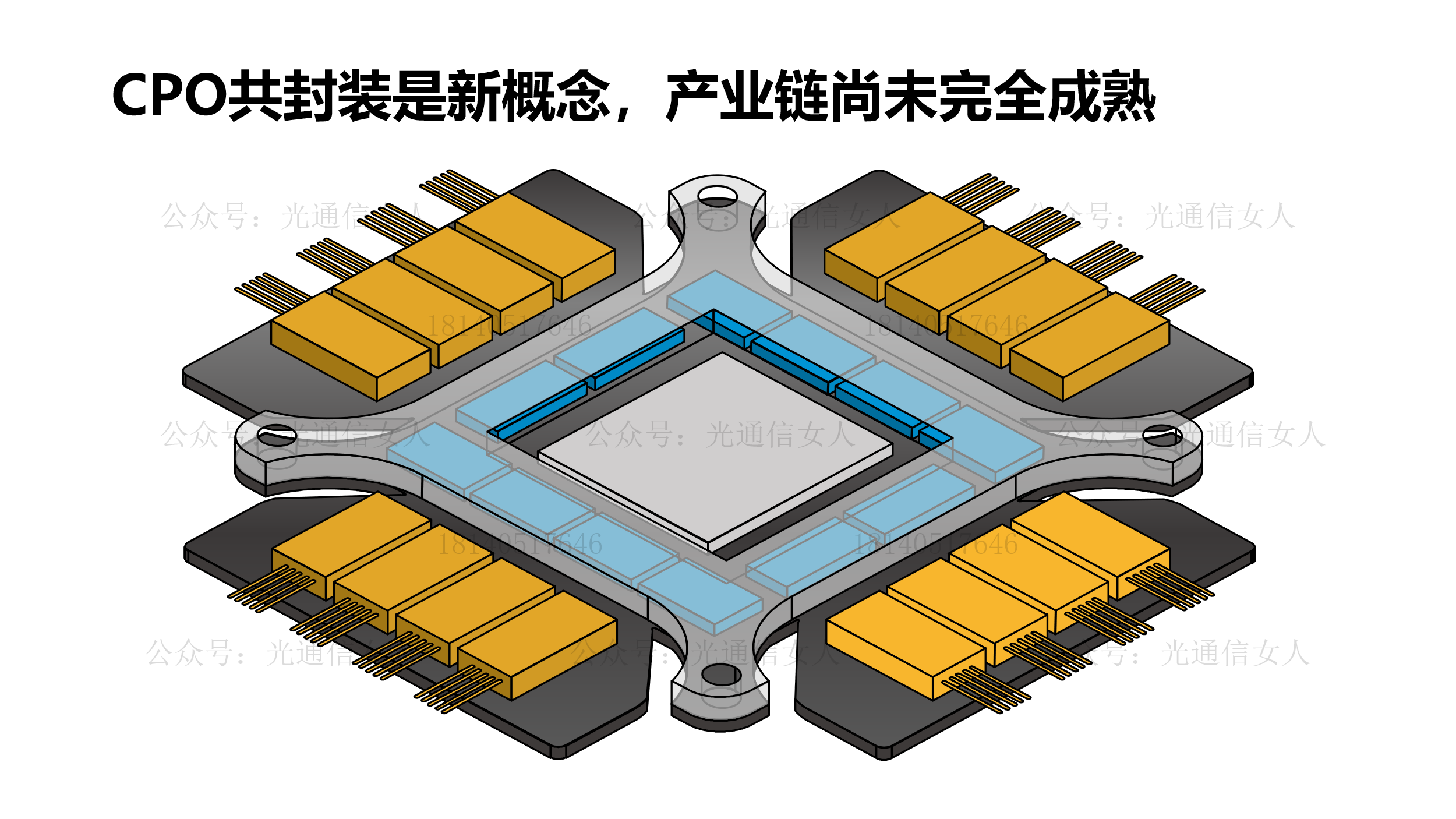Y12T91 Arista：下一代AI网络的光模块采用热插拔还是CPO？